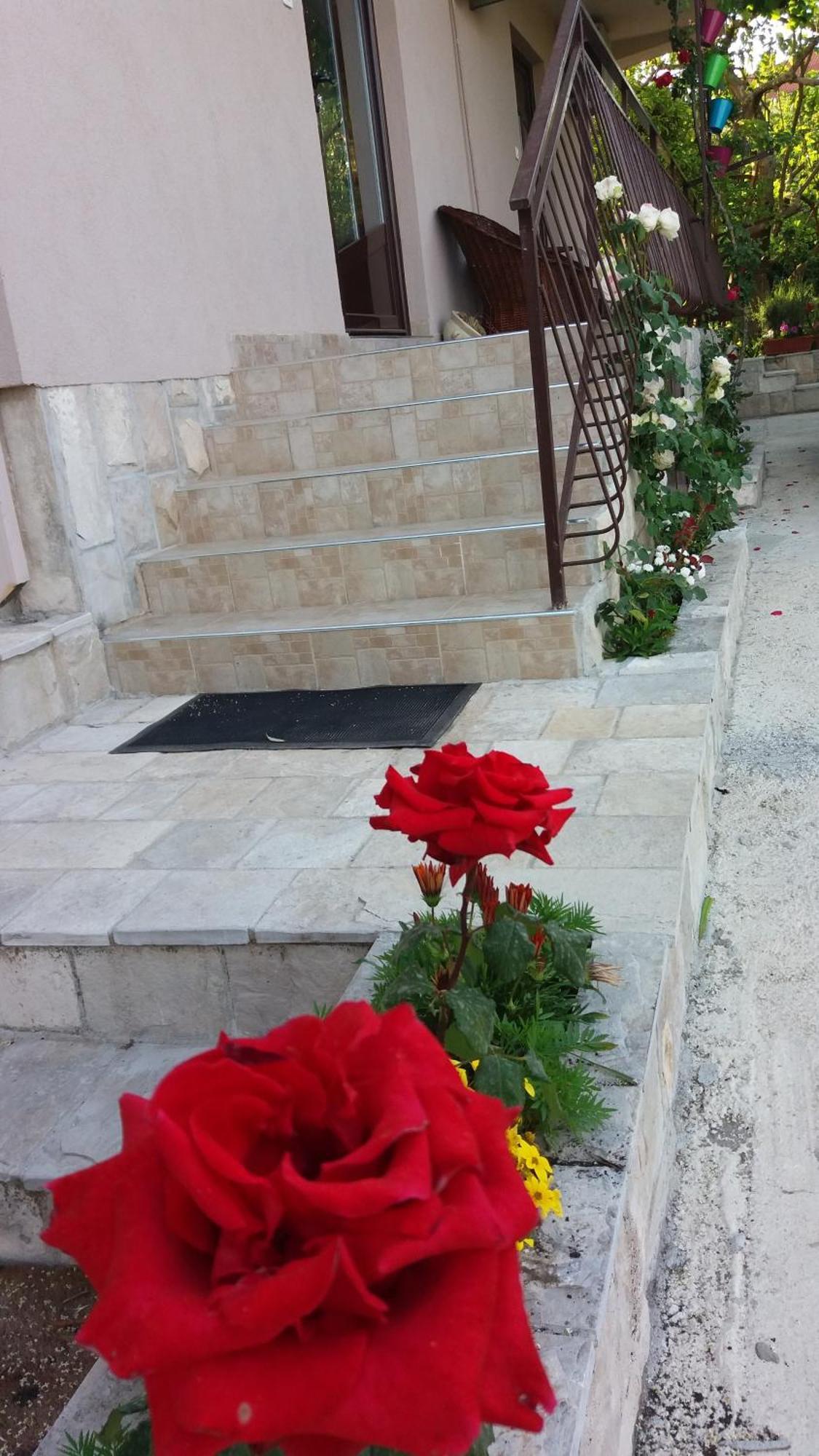 Apartments Iva Tivat Exterior foto