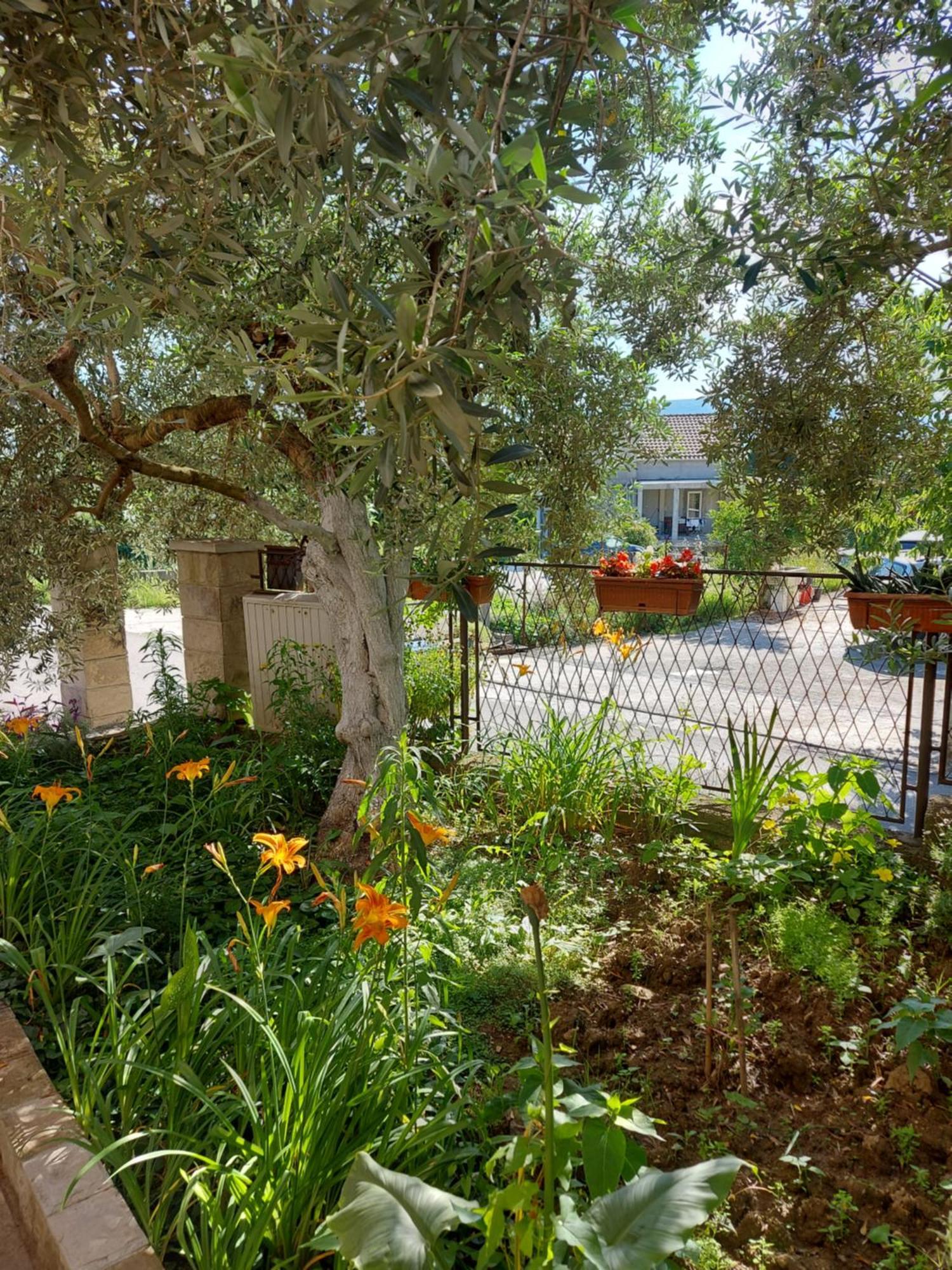Apartments Iva Tivat Exterior foto